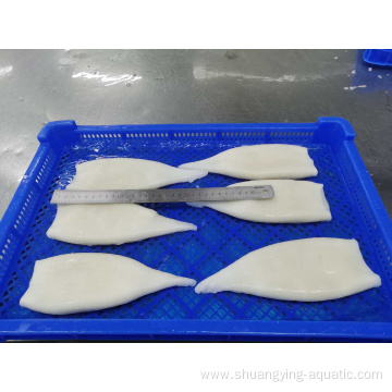 Chemical Treated Todarodes Pacificus Iqf Squid Tube U5